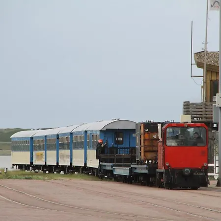 Strandhafer